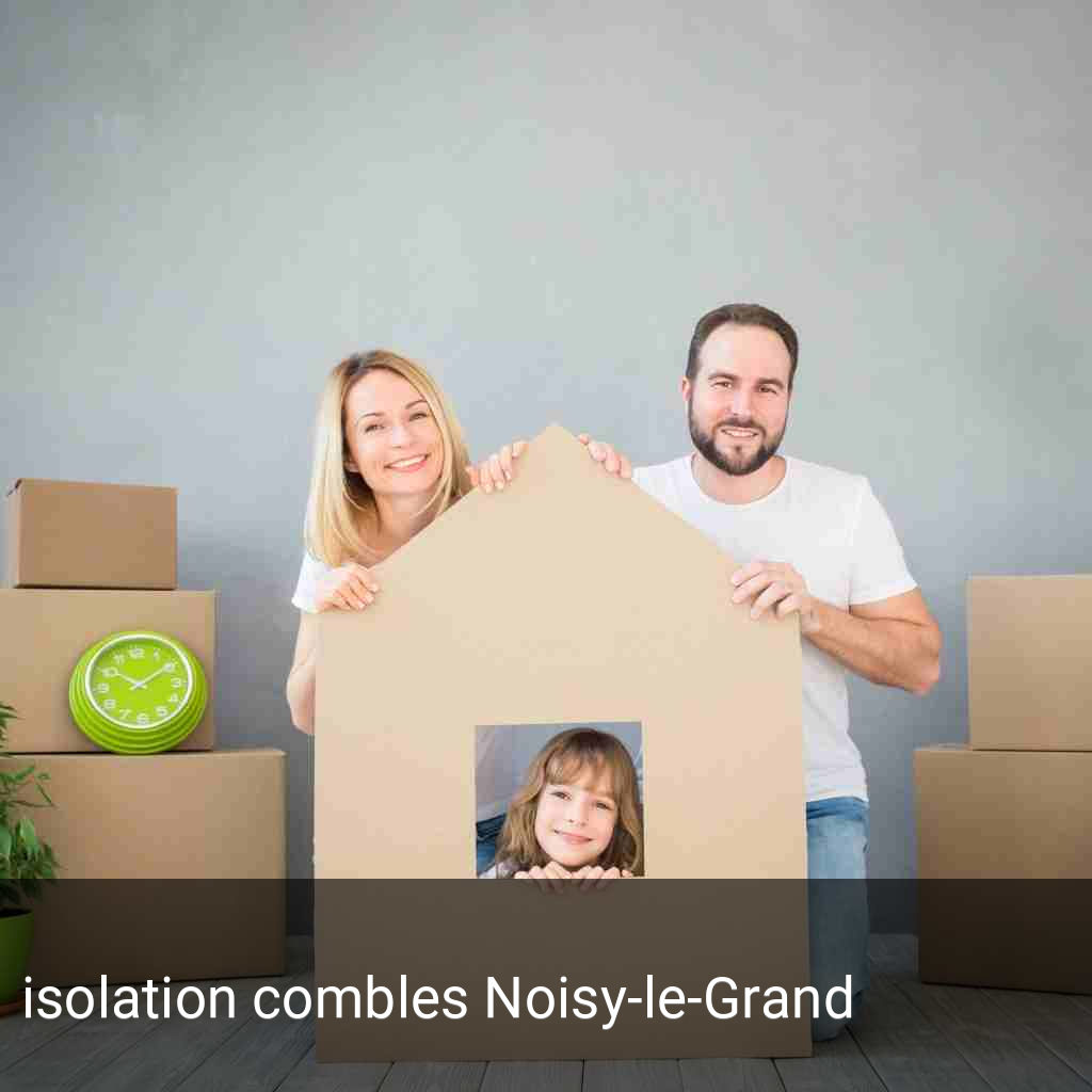 isolation combles Noisy-le-Grand